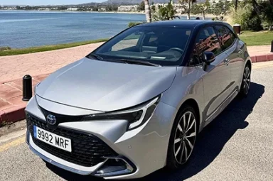 таета серая